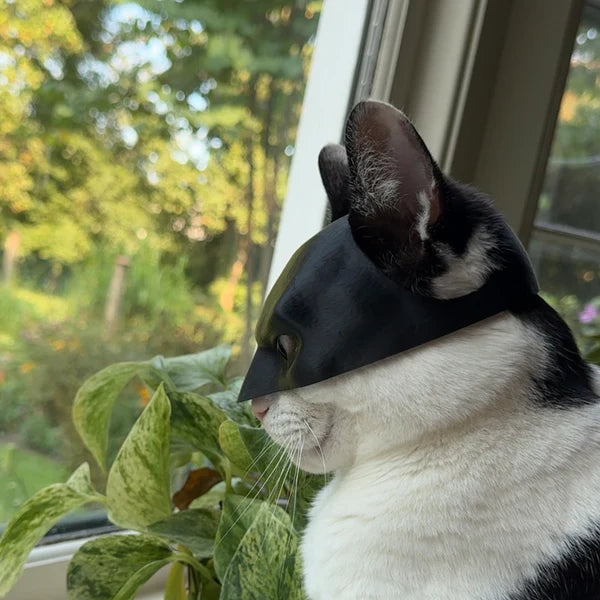 Kattman™